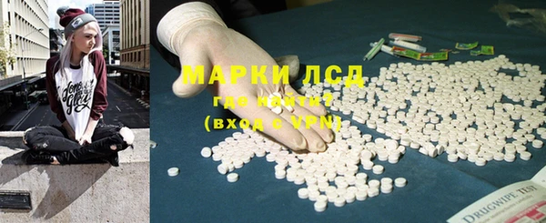a pvp Алзамай