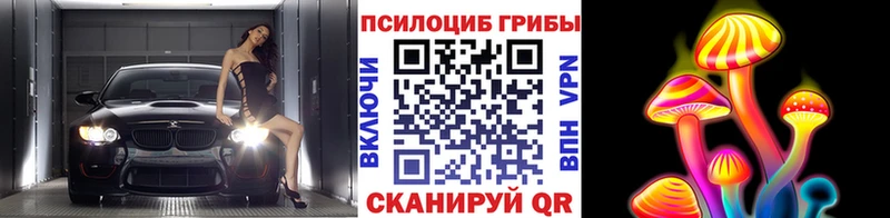 Галлюциногенные грибы мицелий  это формула  Ивангород  где купить наркотик 