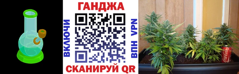 Бошки марихуана конопля  Ивангород 